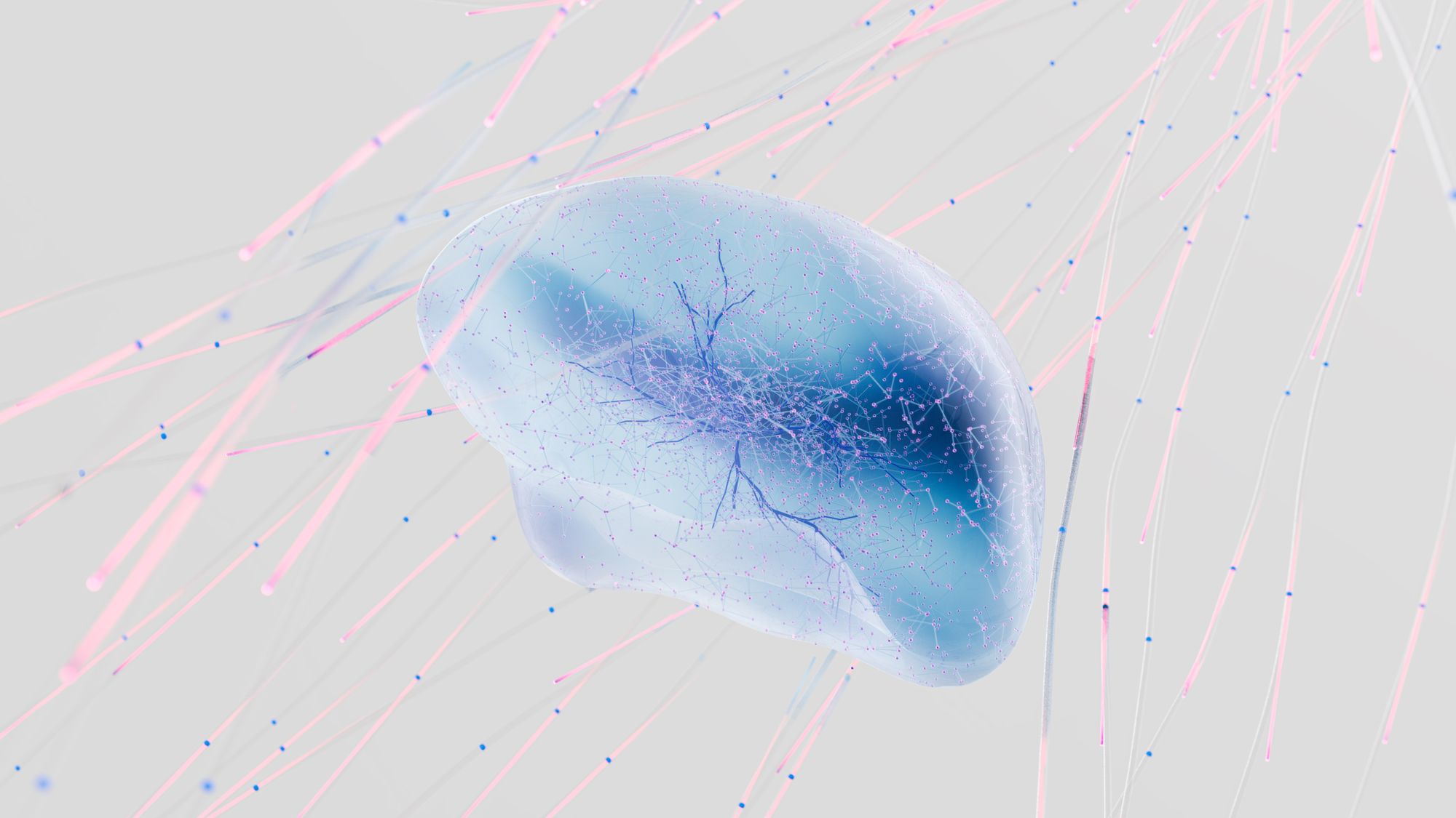 Abstract 3D visualisation of a neural network